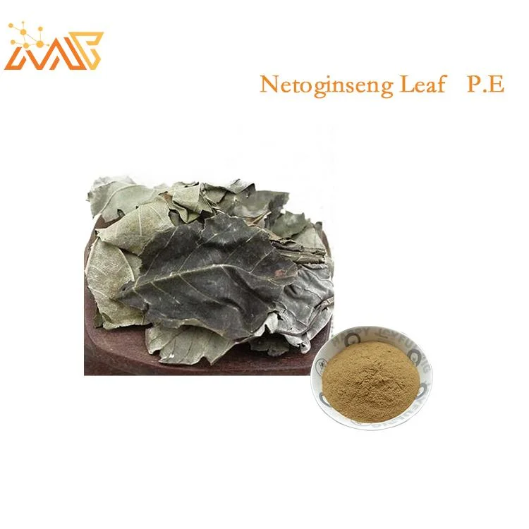 High Quality Ginsenoside Rb1 10%-60% Panax Notoginseng Leaves Extract