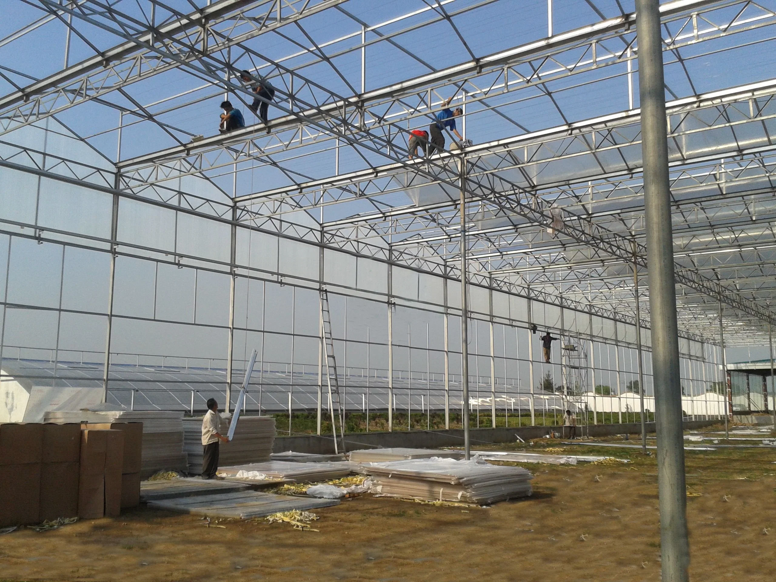 Venlo Type Plastic Sheet Agricultural Greenhouse Galvanized Steel Frame with Low Price