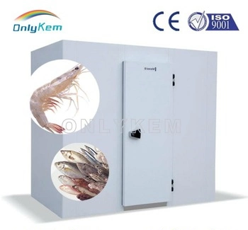 Ce Improved Frozen Fish Cold Storage for Sea Food