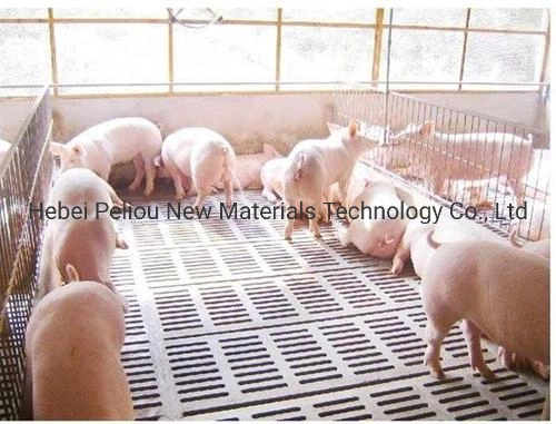 Animal Husbandry Equipment Farms Goat Sheep Pig Piglet Engineering Plastics PE Floor