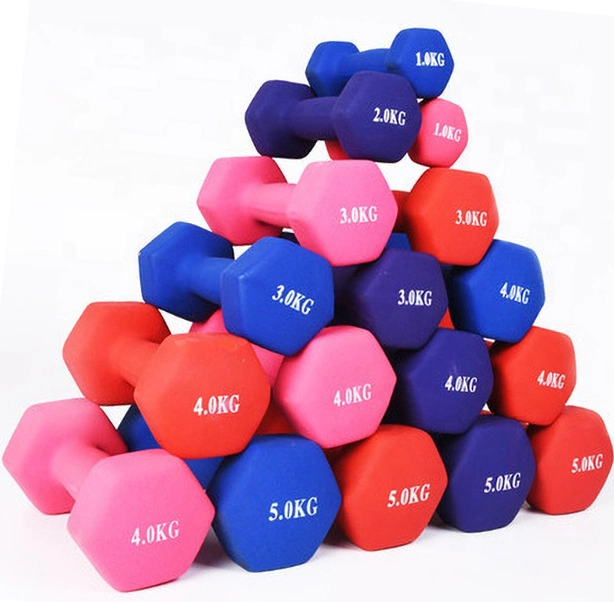 Gym Dumbbell Arm Hand Weights Pilates Vinyl Dumbbell Equipment