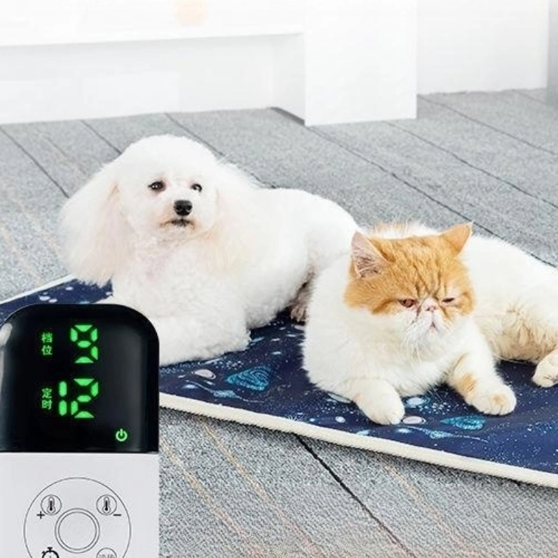 Temperatura constante Anti-Scratch Anti-Leaked Pet Heating Mat resistente a los mordiscos eléctricos Manta