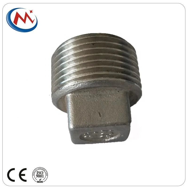 Manufacturer Stainless Steel 304 316 Pipe Fitting Casting Square Plug