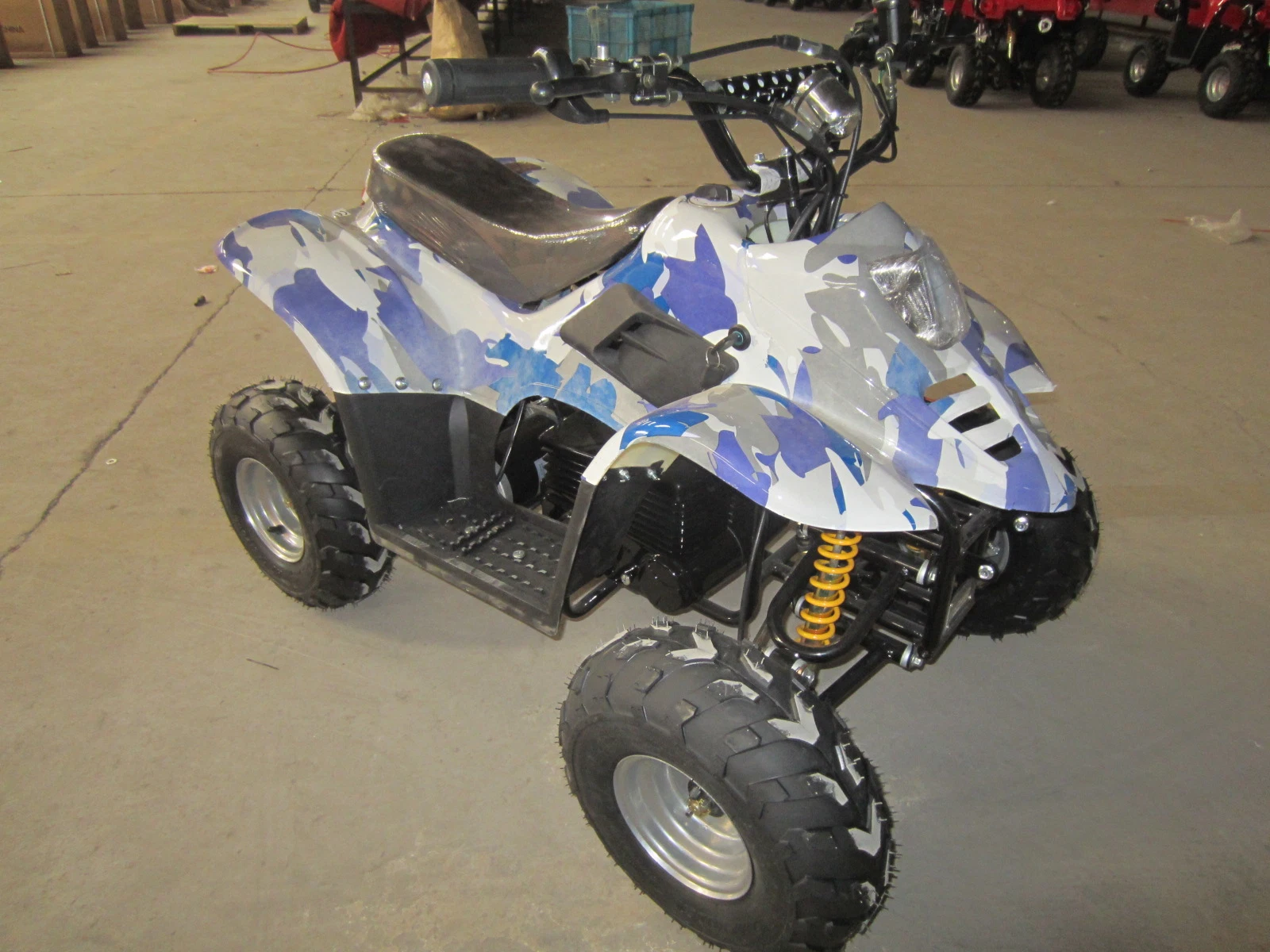 800W Elektrisches ATV, Quad für Kinder, Elektrisches 4 Wheeler et-Eatv003