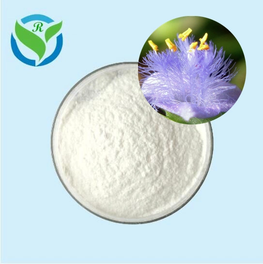 Natural High Quality Ecdysterone Hydroxyecdysone CAS 5289-74-7 with Best Price