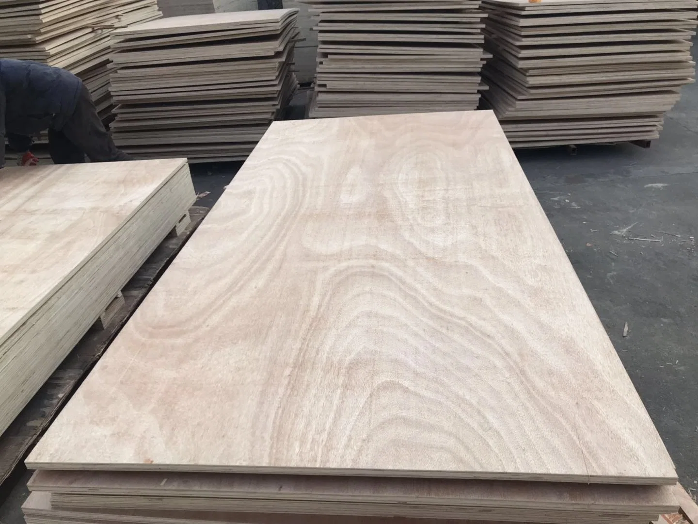 Made in China High Quality Birch Plywood