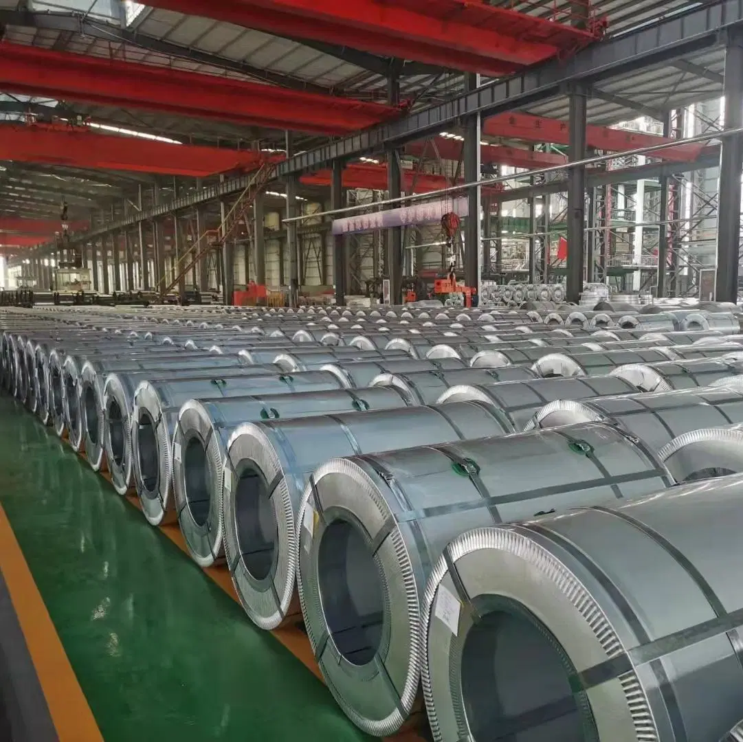 Hot/Cold Rolled Prepainted/Color Zinc Coated/Galvanized/Gallvalume/Corrugated/Aluminum/Ss400/A36/Z275/304/316L/430/Sainless/PPGI/PPGL/Gi/Gl/Carbon Steel Coil