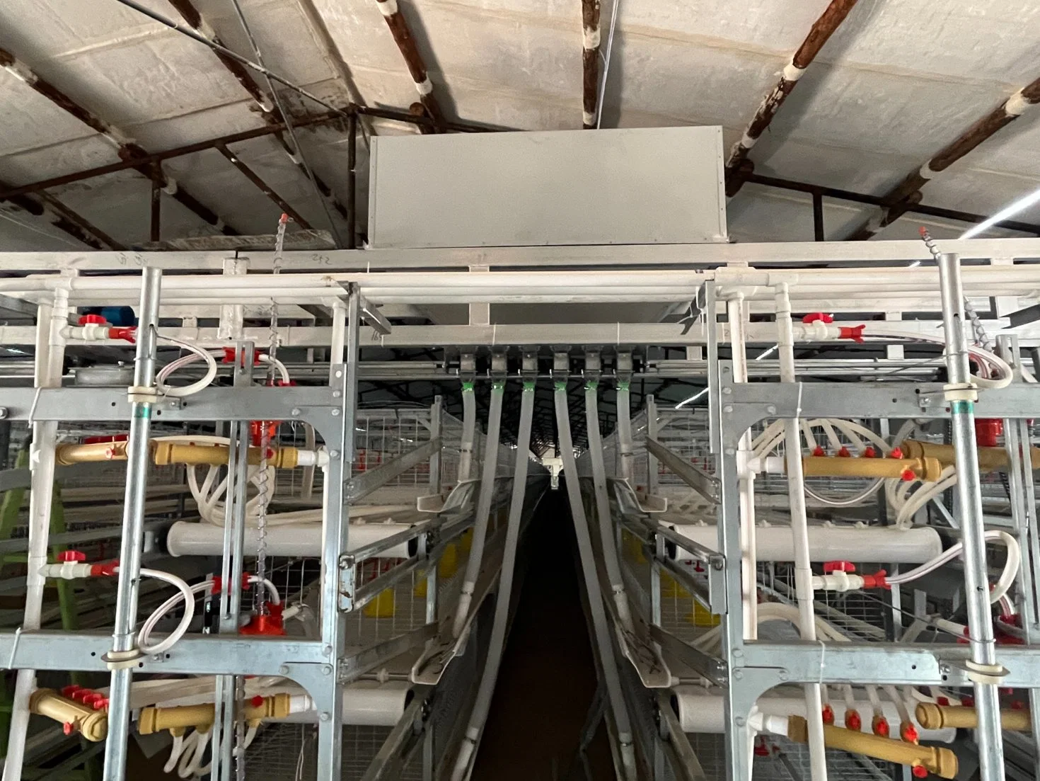 Élevage poulet maison volaille matériel agricole cages de type H pour Gril