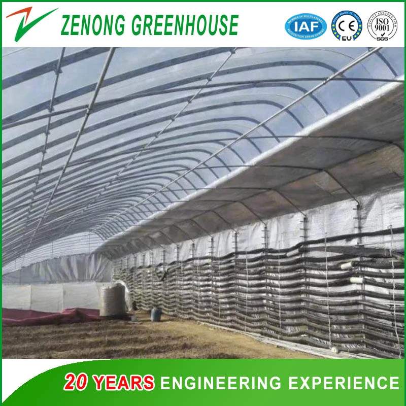 PO/PE/PP Film Covering Simple Solar Greenhouse for Planting Vegetables