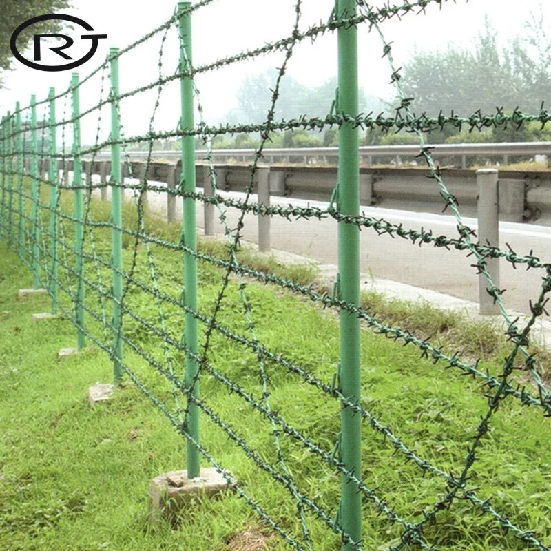 Barbed Wire China Constrctin and Decoration in The Garden