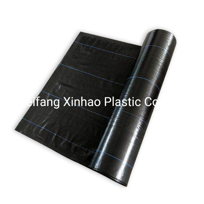 Original Factory Agriculture PP Woven Plastic Fabric Roll Ground Cover Weed Barrier