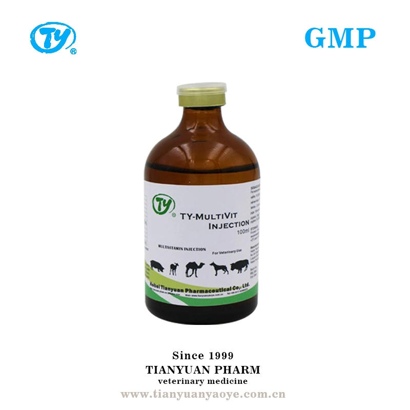 GMP Veterinary Medicine Drug Compound Vitamin B Liquid Injection for Animals