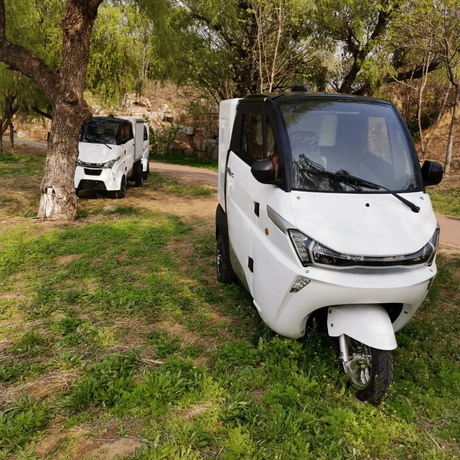 Un botón para iniciar CEE L5e triciclo eléctrico estándar chino de carga Mini Coche eléctrico de la cabina Scooter eléctrico de baja velocidad