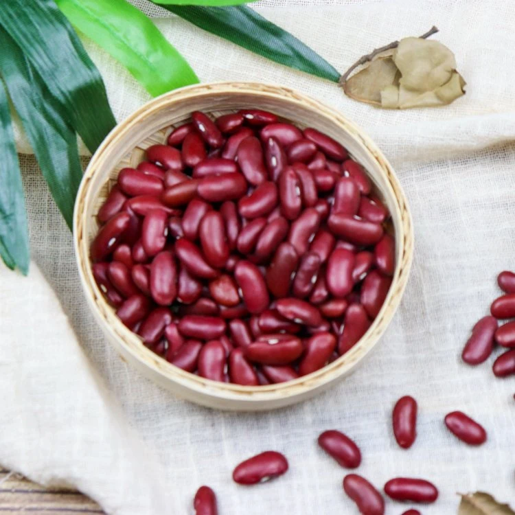 New Crop Red Kidney Beans