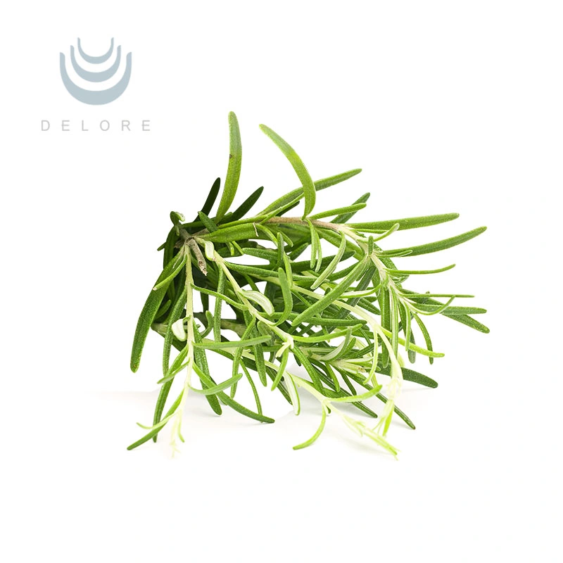 Kosher/Halal Factory Supply Rosemary Extract 10% 20% Carnosic Acid, Carnosic Acid Powder/Liquid or Oil