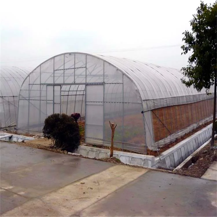 Hot Sale Single Span Poly Tunnel Film Greenhouse Sunlight Hydroponics Green Houses for Lettuce/Tomato/Cucumber/Pepper/Flowers/Fruit/Eggplant/Vegetables/Mushroom