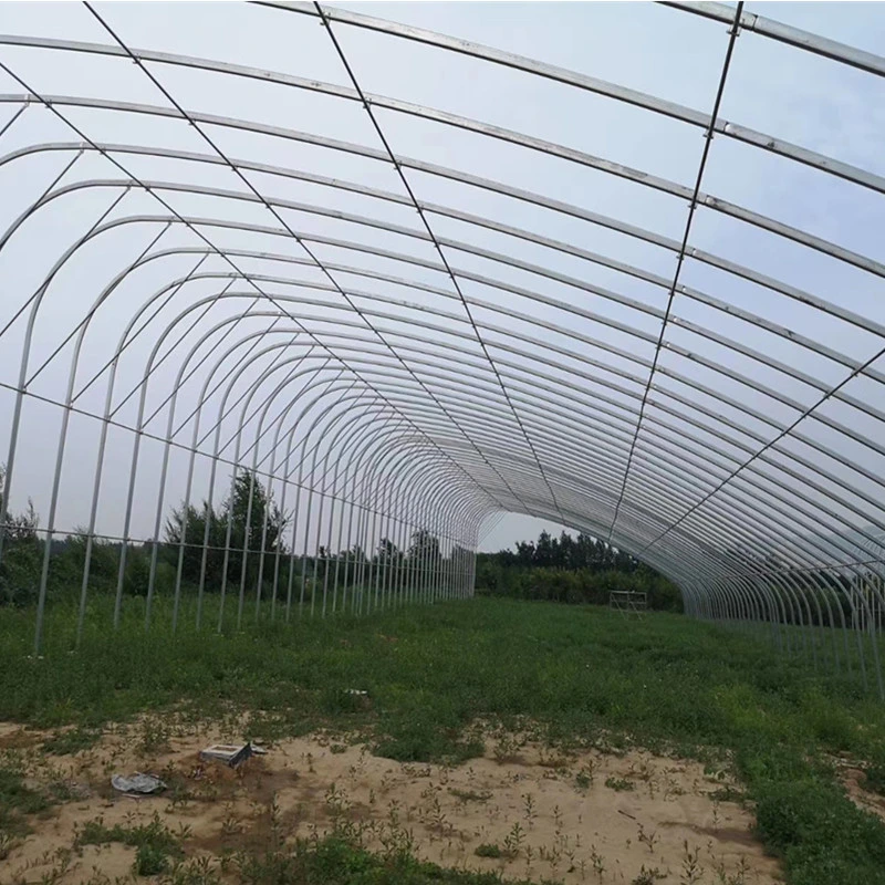 Greenhouse with Durable Galvanized Steel Frame