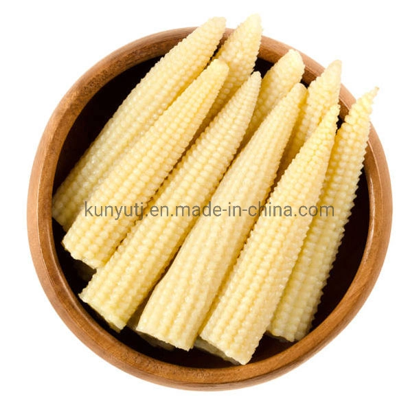 Manufacturer Canned Food Vegetables Bulk Wholesale/Supplier 2840g Canned Baby Corn with Factory Price