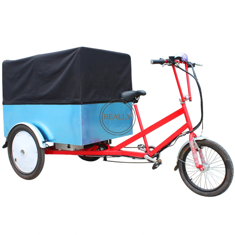 Bicicleta de carga eléctrica de pedal y la carreta de 3 ruedas Scooter eléctrico triciclo Trike adulto Tráiler vía Mini triciclo ruedas de la familia de 3 adultos