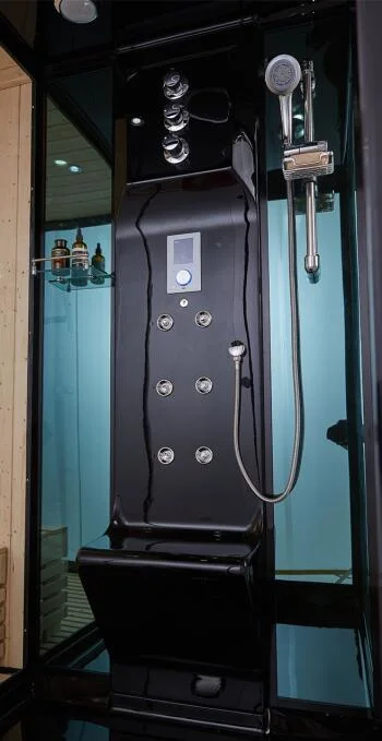 Luxory Bathroom RoHS Steam and Sauna Dry Heat Humid Wet Heat Combined Room