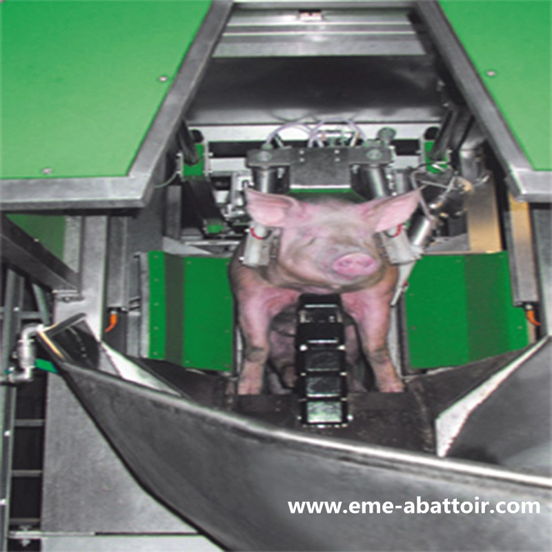 EME Customized Schwein Betäuben und Töten Abattoir Maschine mit Schlachtung Ausrüstung für Schlachthaus Fleisch Verarbeitungsmaschine
