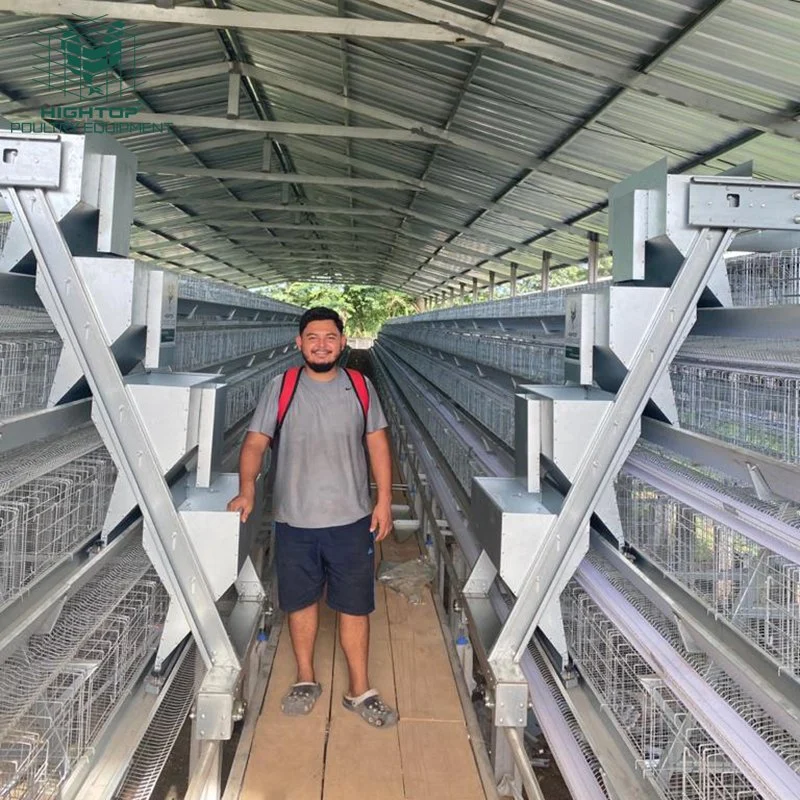 A Type Fully Automatic Laying Hens Farming Equipment Battery Chicken Cage In Tanzania Farms