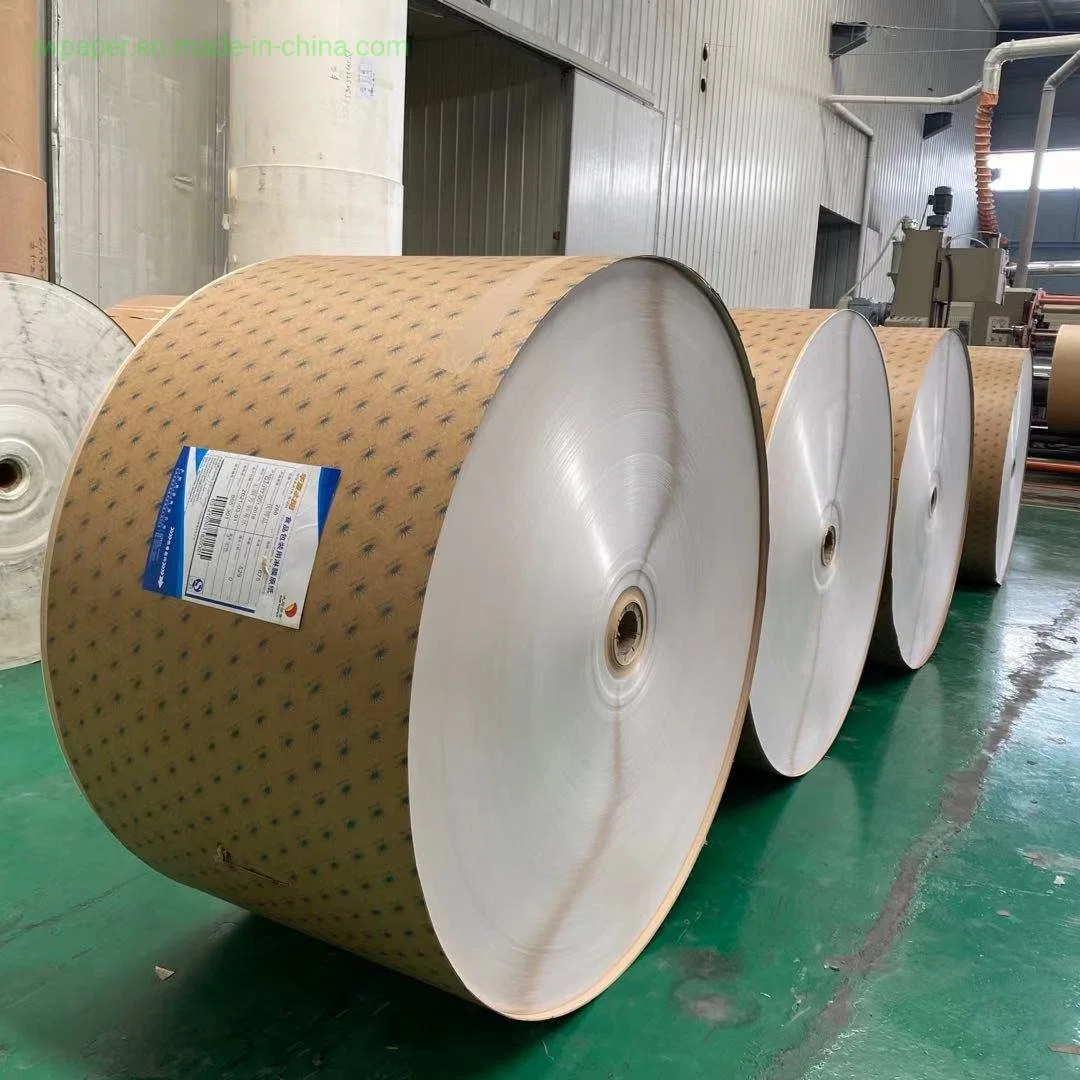 Good Quality Cup Paper Single or Double Sided PE Coated Paper Roll