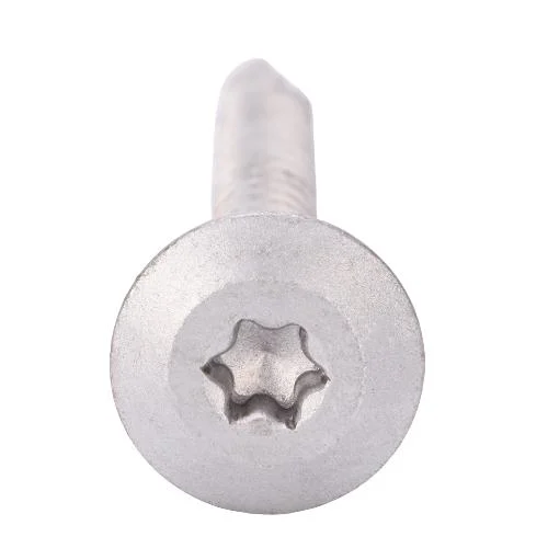 Dacromet Galvanized HDG Torx Pan Head Screw