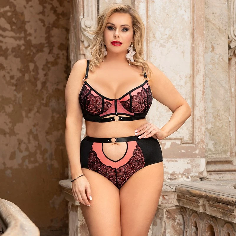 New Design Lace Luxury Mature Sexy Women Bra Brief Sets