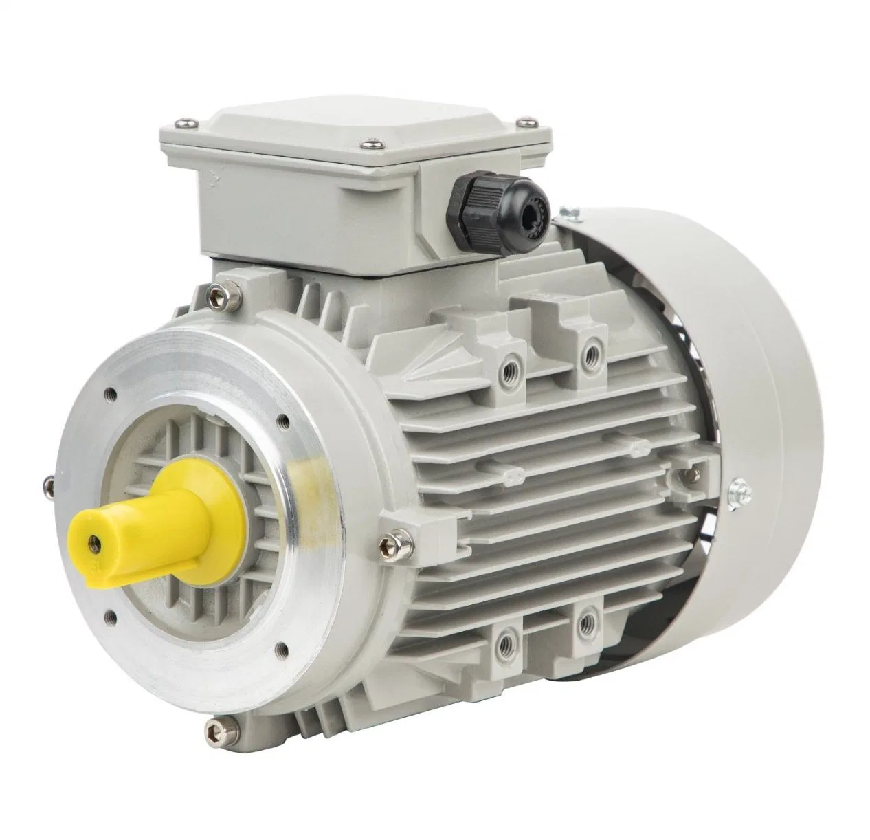 2p 4p 6p 8p High Power Low Vibration Three Phase AC Electric Motors