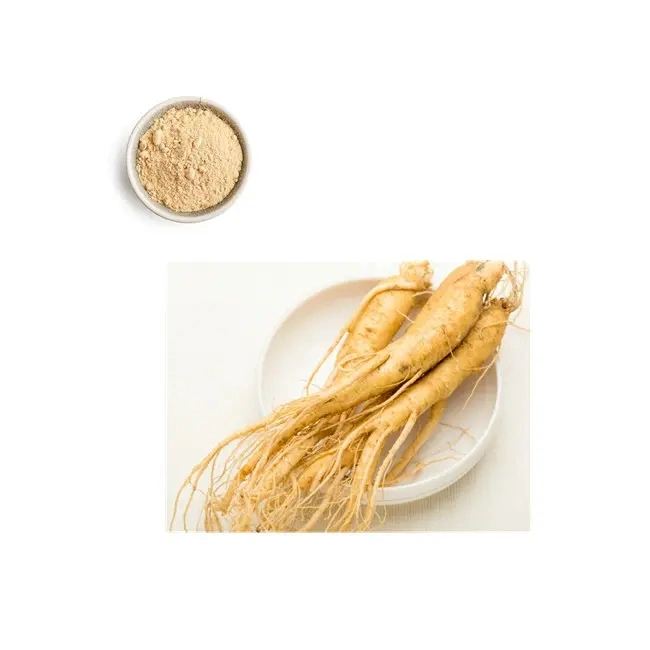 Ginseng Extrakt mit Best Price on Sale