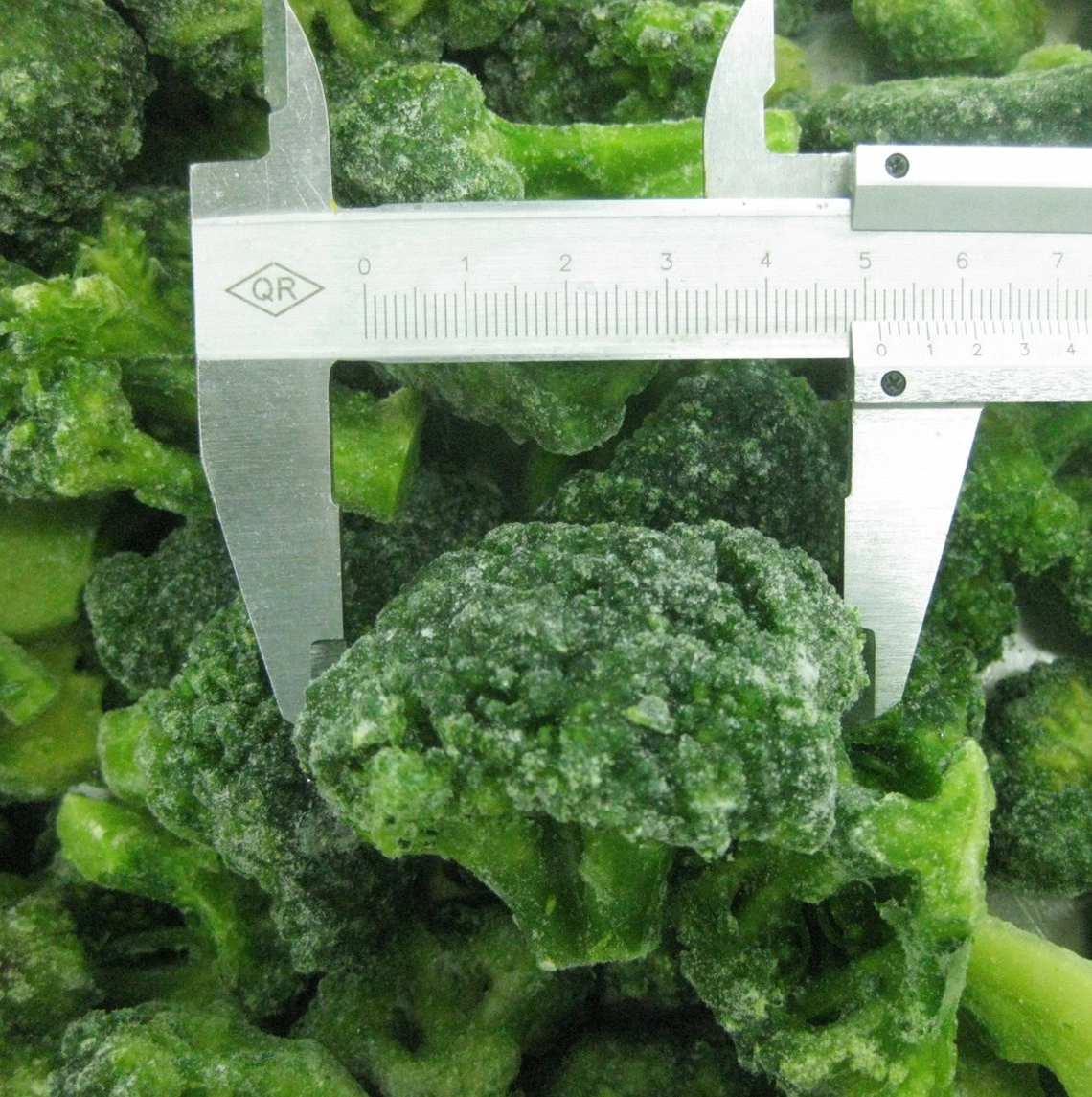 Winter Crop No Worm Factory Price 4-6cm IQF Frozen Broccoli