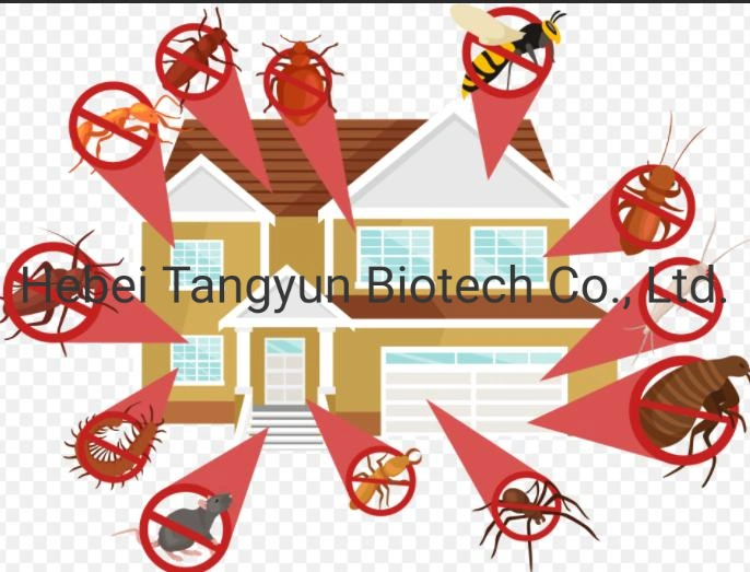 Tetramethylfluthrin 1%+Permethrin 5% Ew Household Pesticide for Fly and Mosquito Control