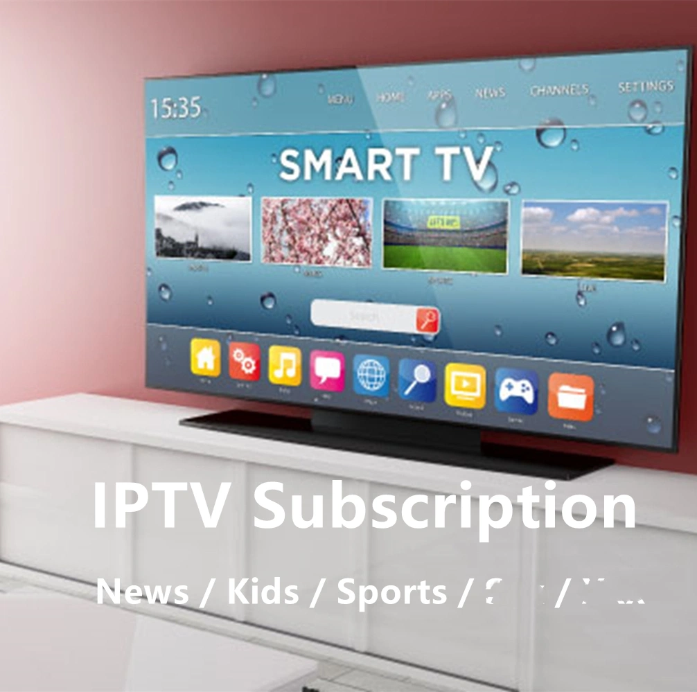 Frankreich IPTV Server 1year Abonnement M3U Stable Französisch Spanien Deutschland Italien Android TV Box Smart TV Mag M3U Streaming IP TV