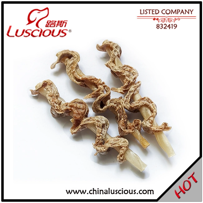 Duck Meat Insect Slices Dog Snack Cat Snack Pet Food Supplier