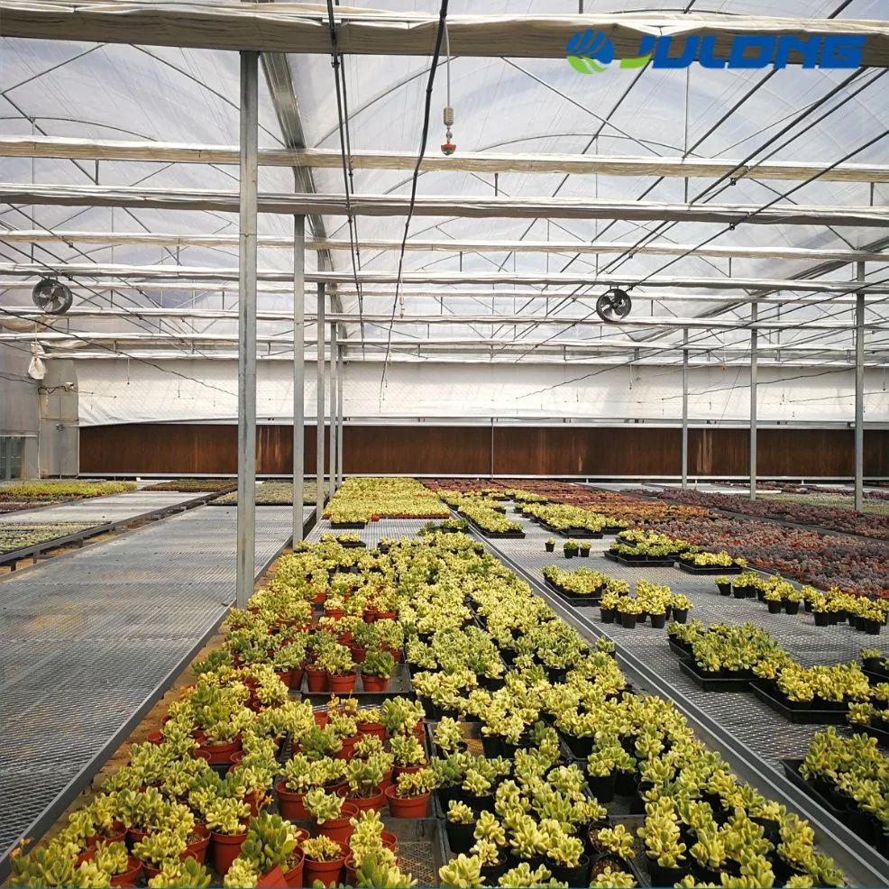 Multi-Span Agriculture Po PE Film Greenhouse for Tomato Planting