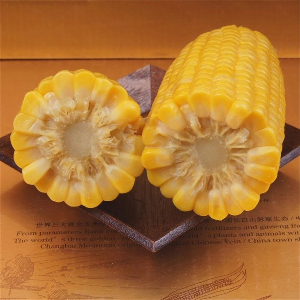 Venta caliente no OGM de maíz dulce fresco procedente de China