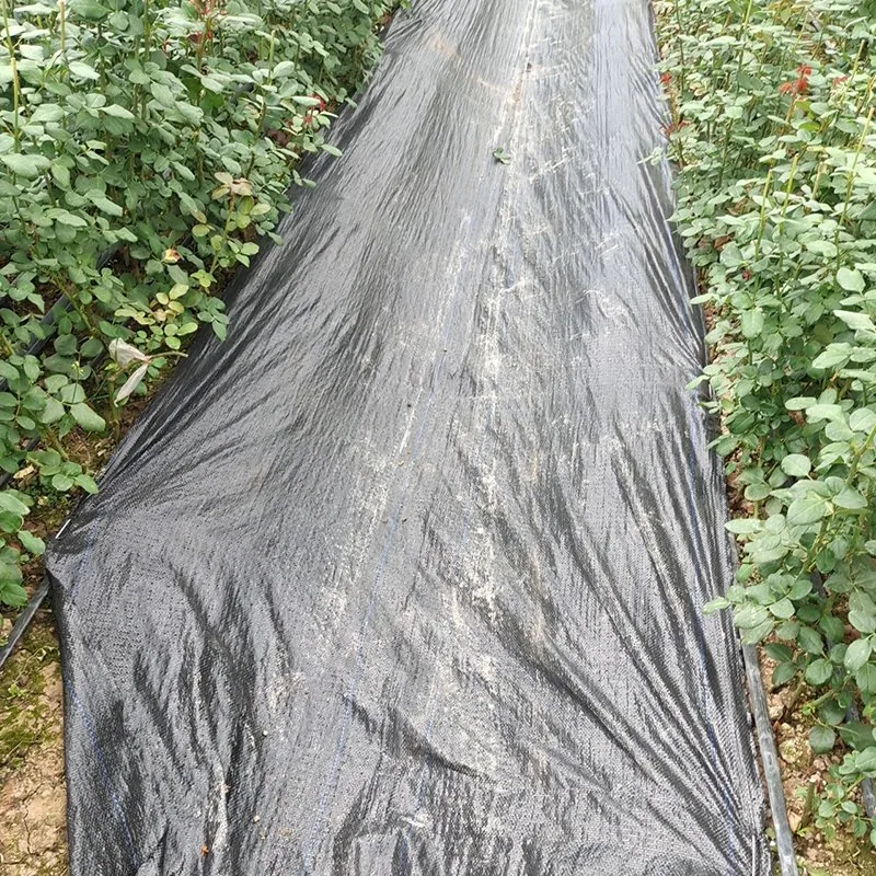 Geo Fabric Geotech Fabric Woven Geotextile