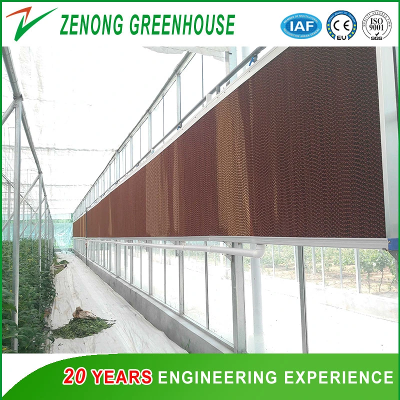 Film Greenhouse with Cooling Pad and Fan System for Cooling Down