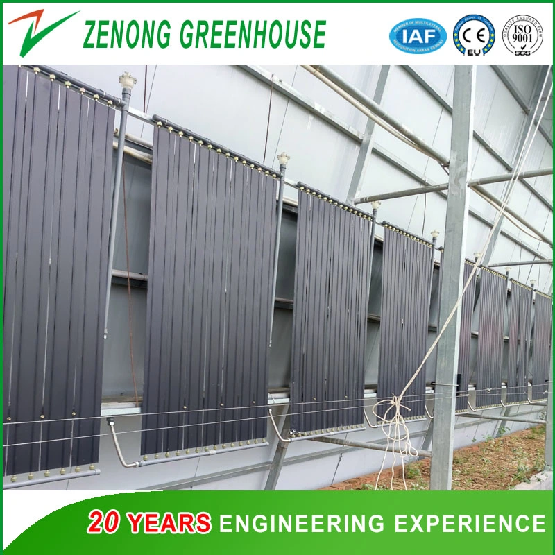 Quick Heat Accumulation Quick Heat Releasing Plate System Specially for Solar Greenhouse Cold Season Vegetables Culture with Low Cost Zero Energy Consumption