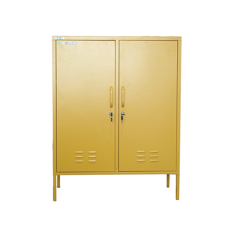 Newly Designed Modern Style Living Room Corner Cabinet Lockers Store Clothing Items