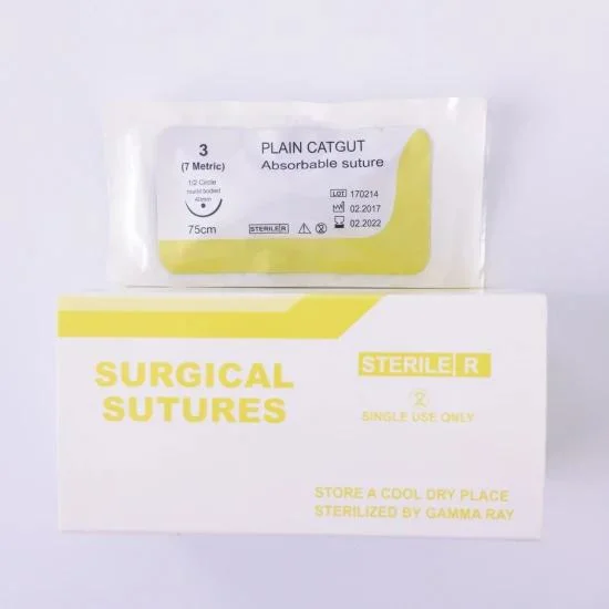 Disposable Absorbable Surgical Suture with Needle Polyglycolic Acid