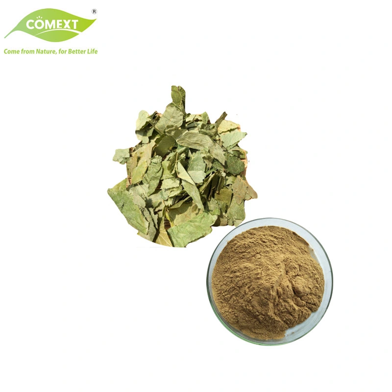 Complementa las materias primas Epimedium Horny Goat Weed Extracto para el 10%-98% Lcariin por HPLC.