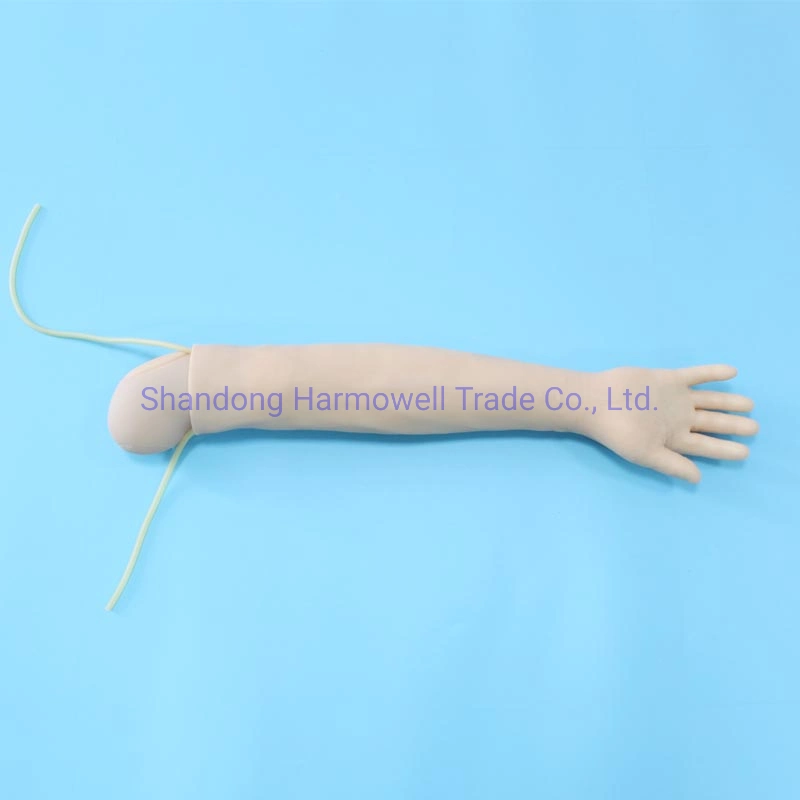 Advanced Arm Venipuncture and Deltoid Muscle Injection Model