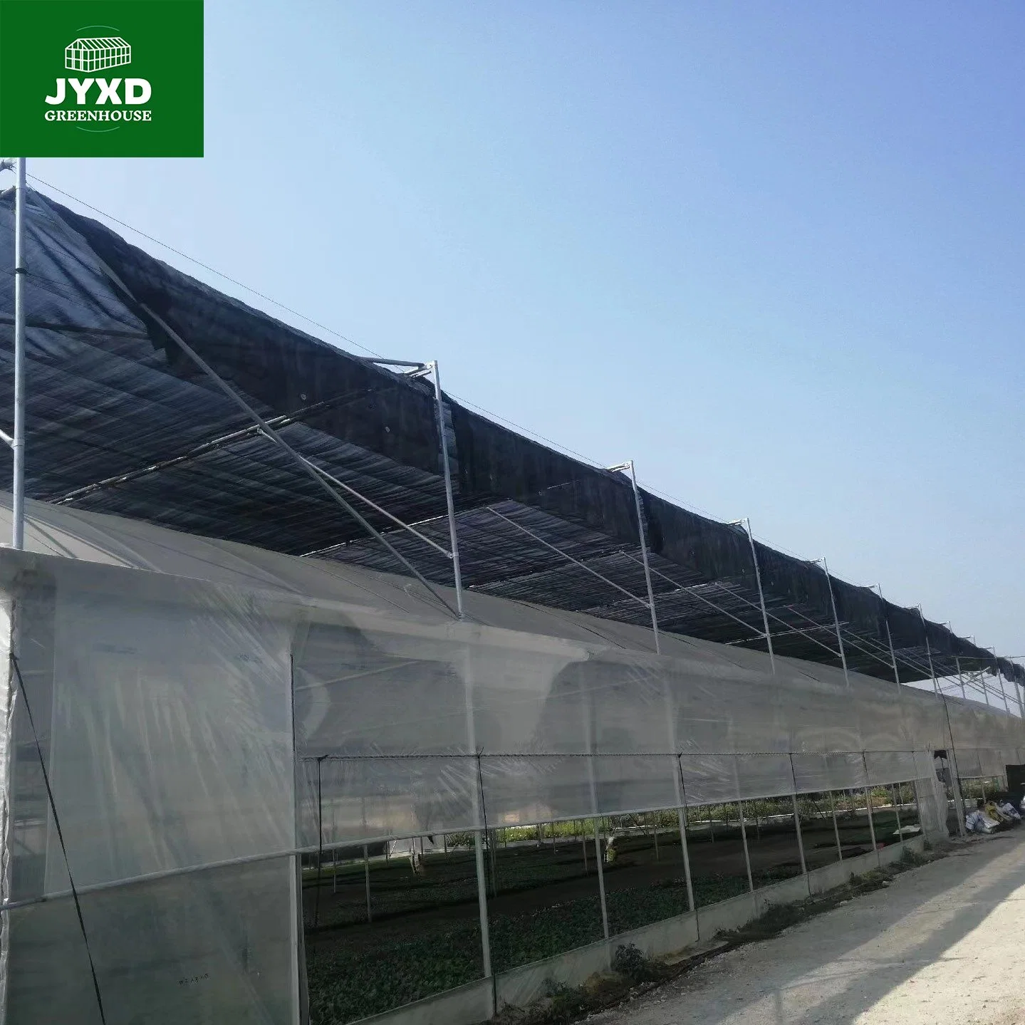 Modern Agriculture Plastic Film Multi-Span Greenhouse for Vegetables/Fruits/Flowers/Tomato/Pepper/Strawberry/Blueberry