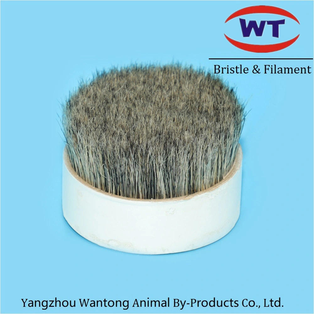 Chungking blanco natural de cerdas hervida para cepillo de cerdas de pelo de cerdo