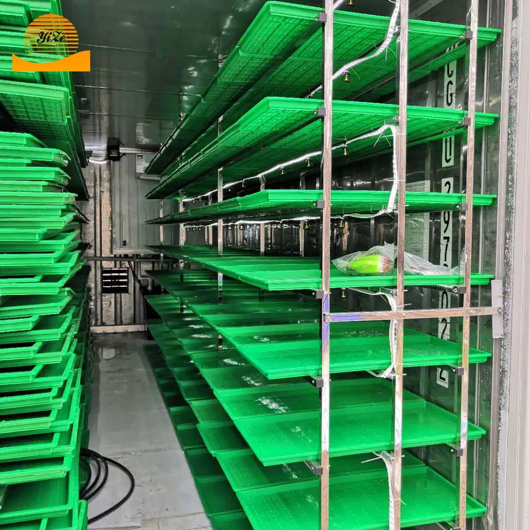 Commercial Hydroponic Wheatgrass Machine Bean Sprout Making Machine Animal Eat Bean Sprouts Growing Machine