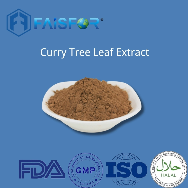 Taste of Tradition: Nourish with Premium Curry Tree Leaf Extract Powder