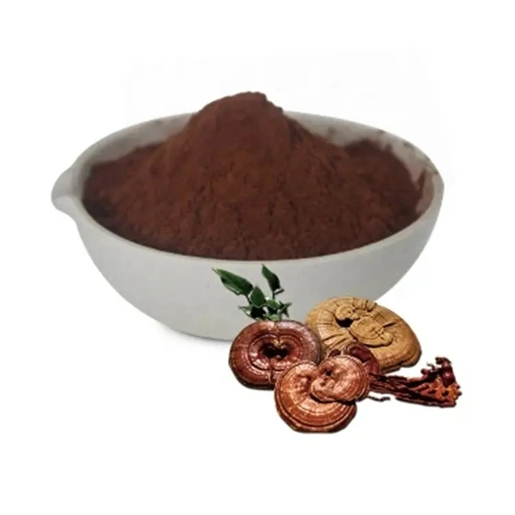 Aceite de esporas Reishi de alta pureza/cápsula de Lingzhi/Ganoderma Lucidum aceite de esporas Softgel