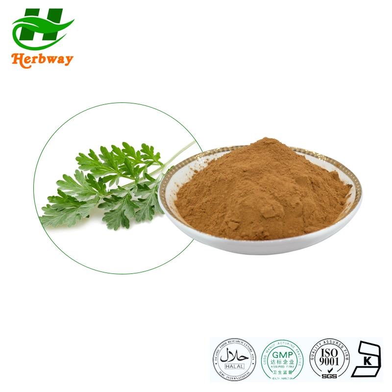 Herbway Top Sales Best Price Botanical Extract Artemisia Apiacea Hance Extract Wormwood Leaf Extract Wormwood Leaf Extract Powder Hemostatic Effect